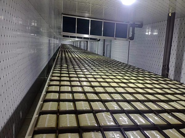 膠體碼垛機(jī)器人生產(chǎn)線的特點(diǎn) 膠體碼垛機(jī)器人圖片展示